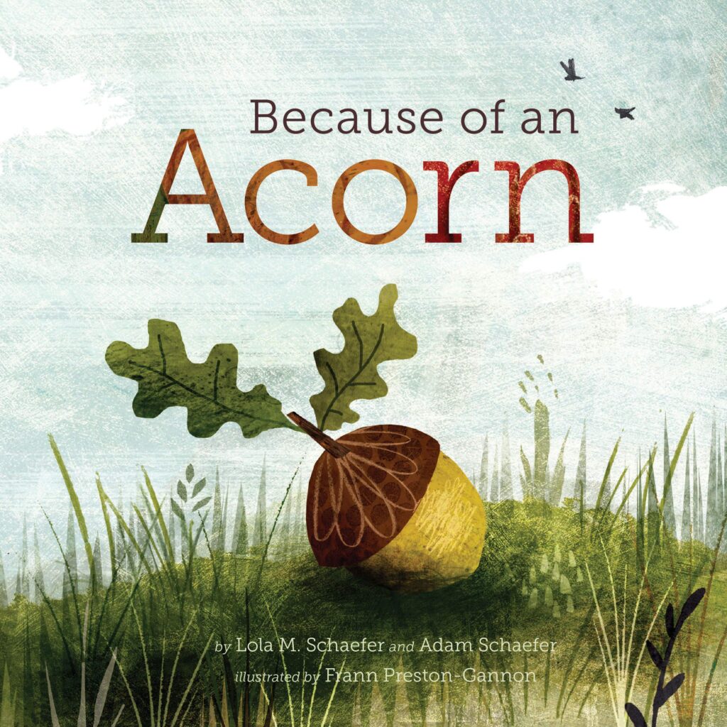 Because of an Acorn by Lola M Schaefer and Adam Schaefer book cover
