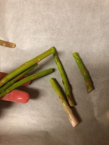 snapping ends off fresh asparagus