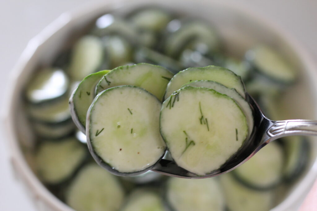 creamy cucumber salad recipe