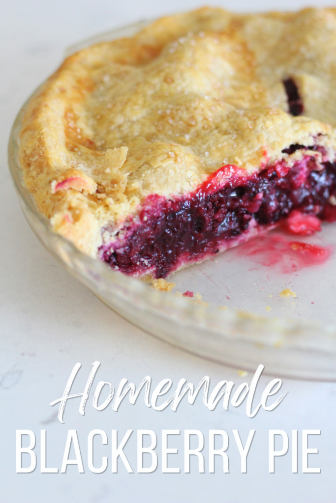 Easy Homemade Blackberry Pie Recipe (with Fresh Berries): How to Make Blackberry Pie #fromscratch #recipe #pie #crust #blackberry #homemade #top #summer #dessert #fresh #filling #blackberries #recipe #dough #pies #mamamakesiteasy