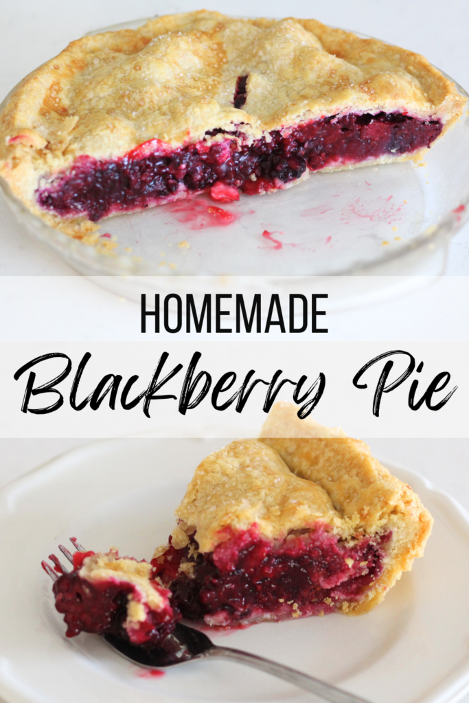 Easy Homemade Blackberry Pie Recipe (with Fresh Berries): How to Make Blackberry Pie #fromscratch #recipe #pie #crust #blackberry #homemade #top #summer #dessert #fresh #filling #blackberries #recipe #dough #pies #mamamakesiteasy